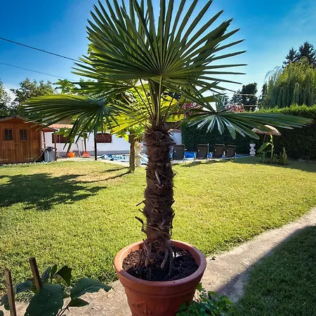 Apartmenthaus Claudia شقة فندقية زاماردي
